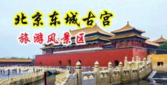 白色丝袜美女被下春药强奸视频中国北京-东城古宫旅游风景区
